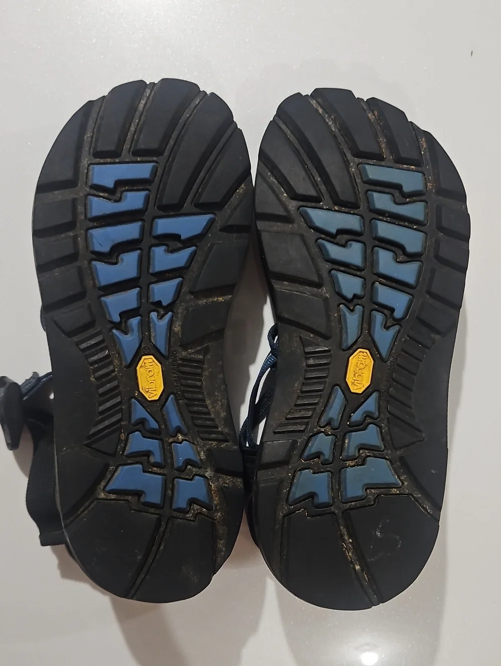 Chaco Women's ZX/2 Dual Adjustable Straps Classic Blue & Purple Sandal Sz 8